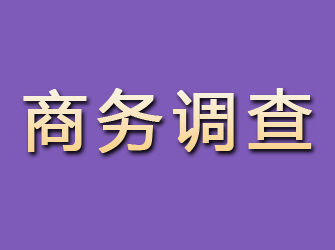 谢家集商务调查